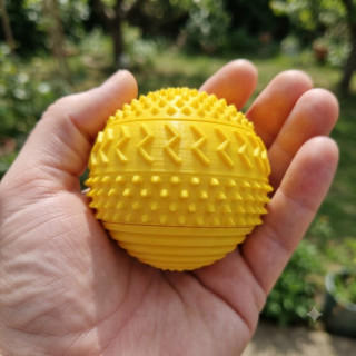 Sphére sensorielle