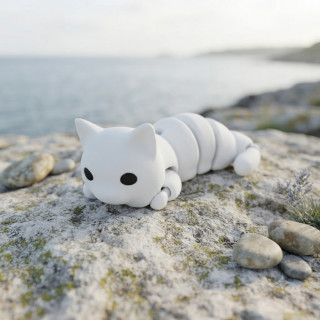 Petit chaton