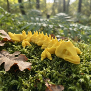 Lézard flexible