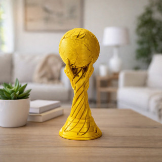 « Fidget » Coupe du Monde