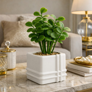 Vase carré Moderne